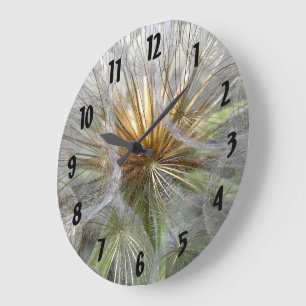 Grande Horloge Ronde Photographie de gros plan à l'intérieur d'un pisse