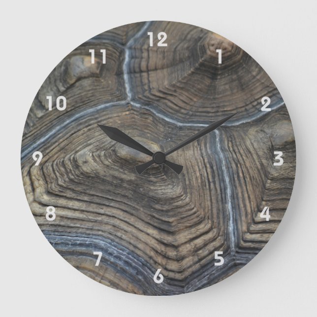 Grande Horloge Ronde Photographie de l'enfer de tortue vieillissante (Recto)