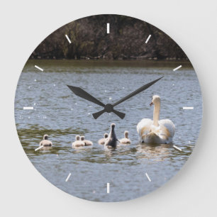 Grande Horloge Ronde Photographie de Swan et Cygnets