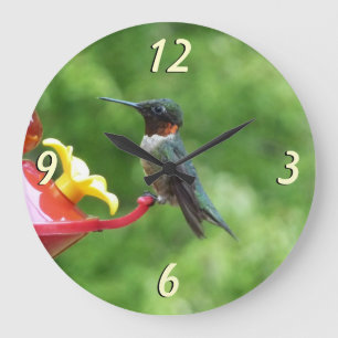 Grande Horloge Ronde Photographie d'oiseau Colibri à gorge rubis