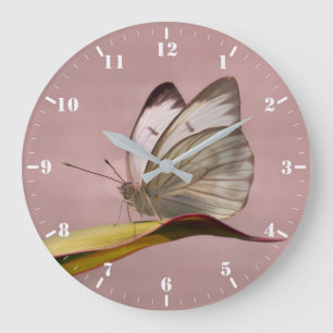 Grande Horloge Ronde Pieris jardin papillon blanc