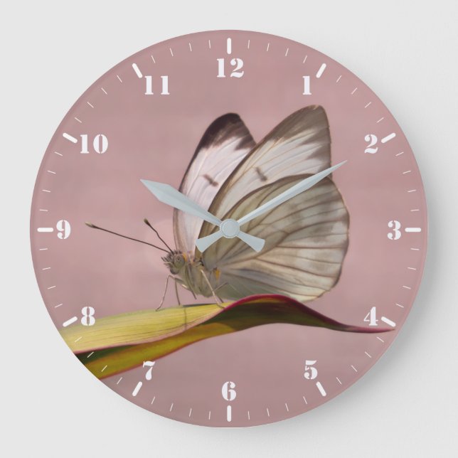 Grande Horloge Ronde Pieris jardin papillon blanc (Recto)