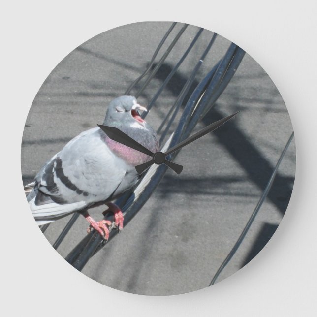 Grande Horloge Ronde Pigeon de chant (Recto)
