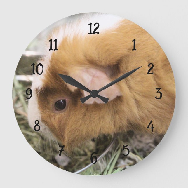 Grande Horloge Ronde Piggy (Recto)