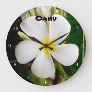 Grande Horloge Ronde Plumeria d'Hawaï