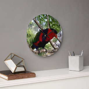 Grande Horloge Ronde Plumes arc-en-ciel : Joli Lorikeet australien,