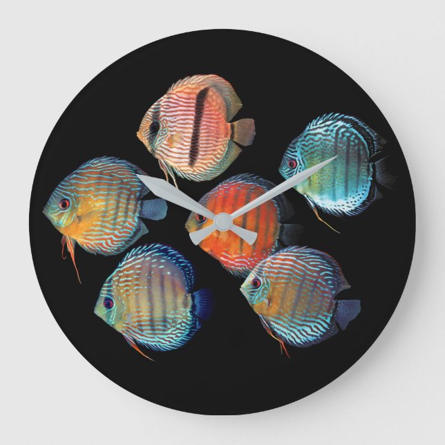Grande Horloge Ronde Poisson sauvage Discus (Recto)
