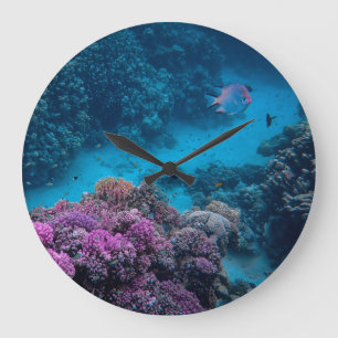 Grande Horloge Ronde Poissons tropicaux Mer de corail
