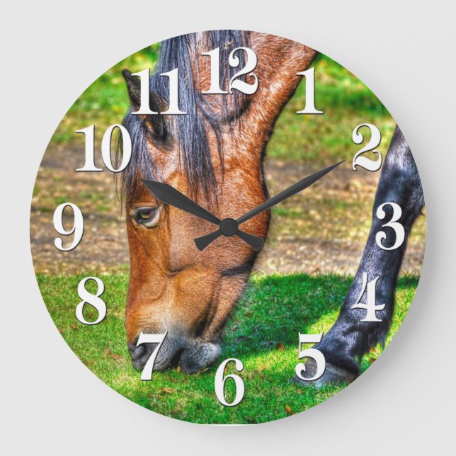 Grande Horloge Ronde Pony Pony Equine Photo Amateurs de chevaux (Recto)