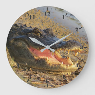 Grande Horloge Ronde Portrait de Floride