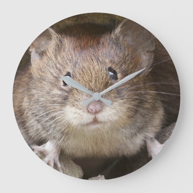 Grande Horloge Ronde Portrait de Mouse (Recto)