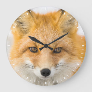 Grande Horloge Ronde Portrait de renard roux