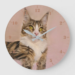 Grande Horloge Ronde Portrait du chaton Maine Coon