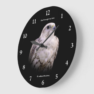 Grande Horloge Ronde Portrait vignetté d'un faucon sacre curieux