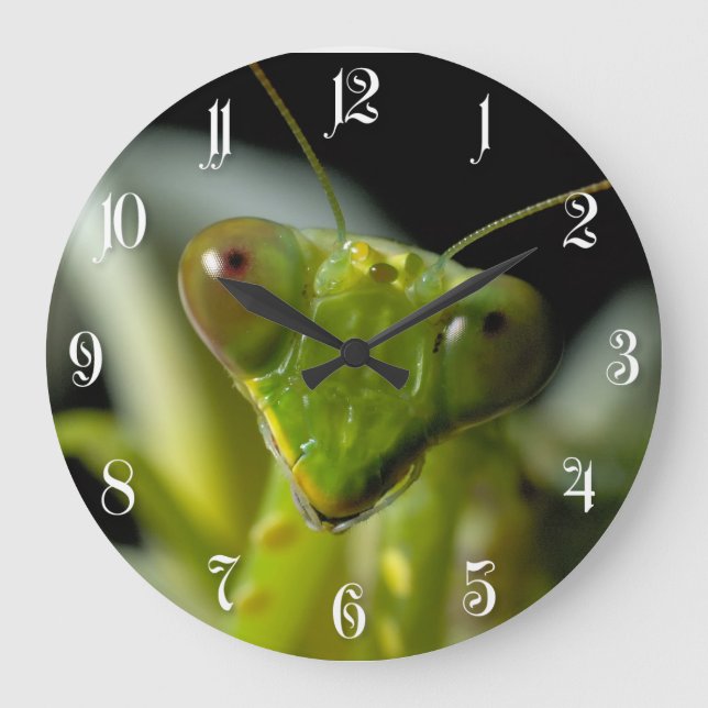 Grande Horloge Ronde Praying mantid (Recto)