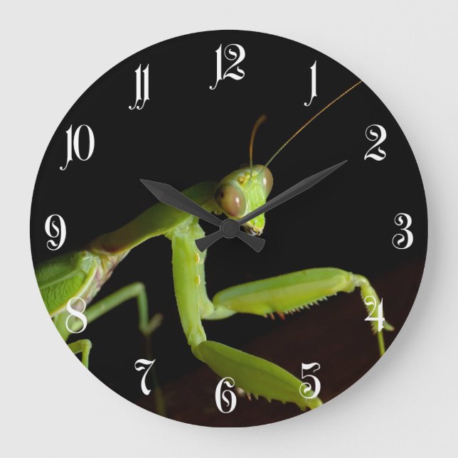 Grande Horloge Ronde Praying mantid (Recto)