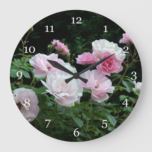 Grande Horloge Ronde pretty pink and white rose flower bushes. Floral, (Recto)