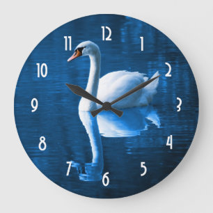 Grande Horloge Ronde Pretty white swan floating on blue lake