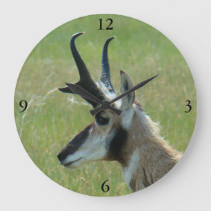 Grande Horloge Ronde Profil de tête de fortune d'antilope d'A47