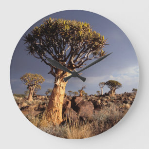 Grande Horloge Ronde Quiver Trees