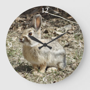 Grande Horloge Ronde R24 Lapin à queue blanche