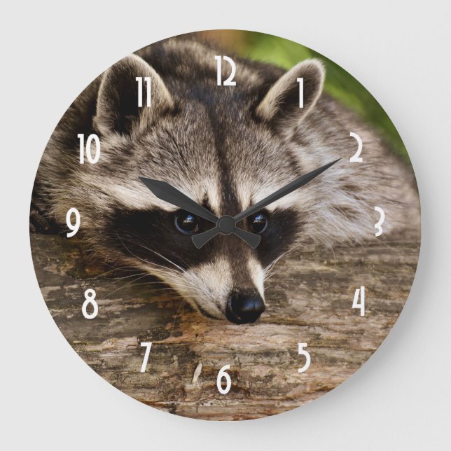 Grande Horloge Ronde Raccoon mignon reposant sur un journal (Recto)