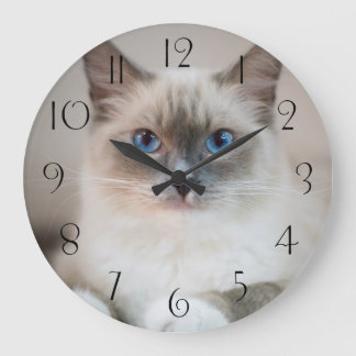Grande Horloge Ronde Ragdoll bleu ‎ chat