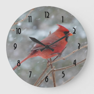 Grande Horloge Ronde Red cardinal en hiver
