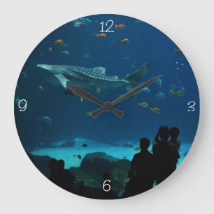 Grande Horloge Ronde Rencontre avec le requin baleine