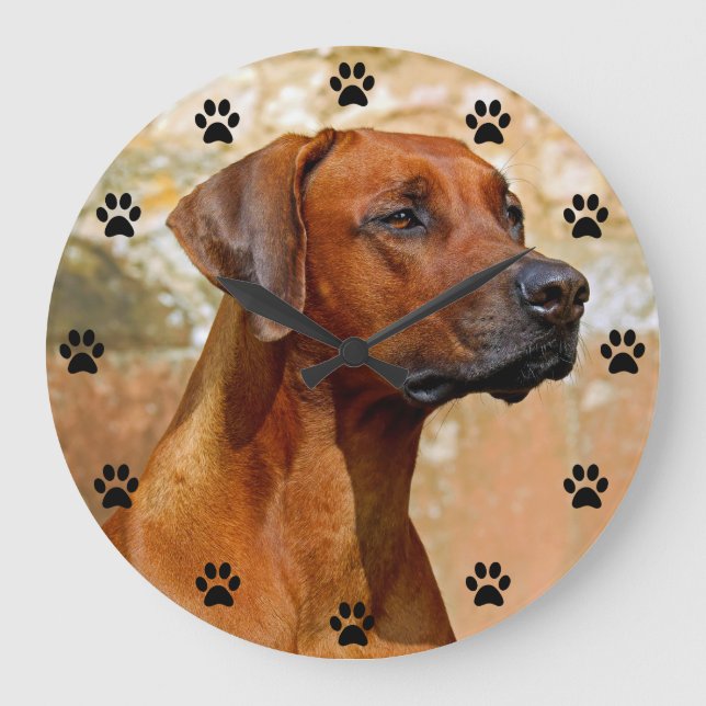 Grande Horloge Ronde Rhodesian Ridgeback Chien temps Empreinte de patte (Recto)