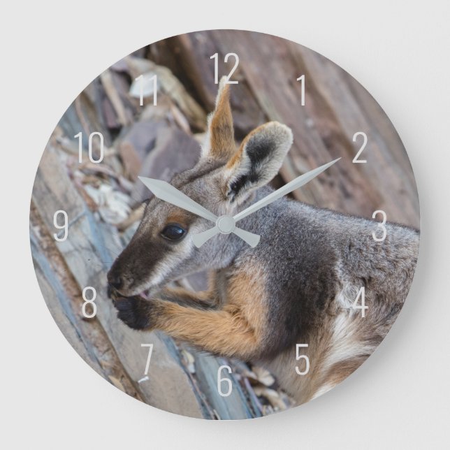 Grande Horloge Ronde Rocher pied jaune Wallaby Kangaroo Australie (Recto)