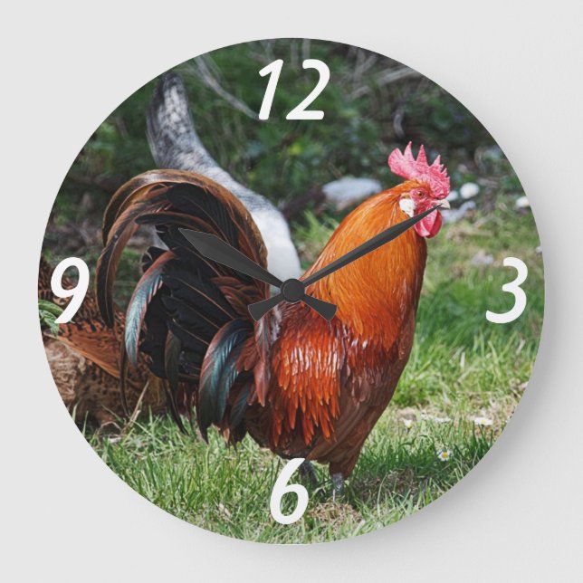 Grande Horloge Ronde rooster clock (Recto)