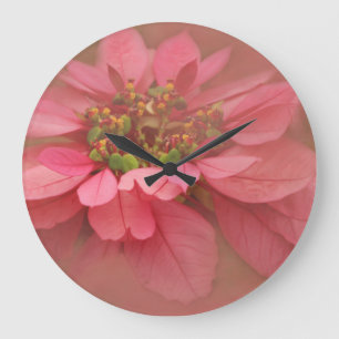 Grande Horloge Ronde Rose Blush Poinsettias Art numérique
