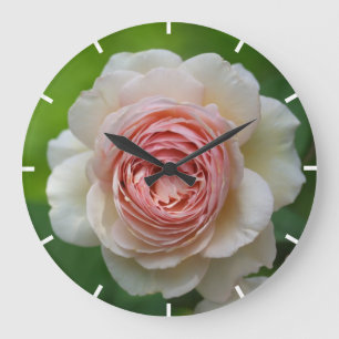 Grande Horloge Ronde Rose rose blanche