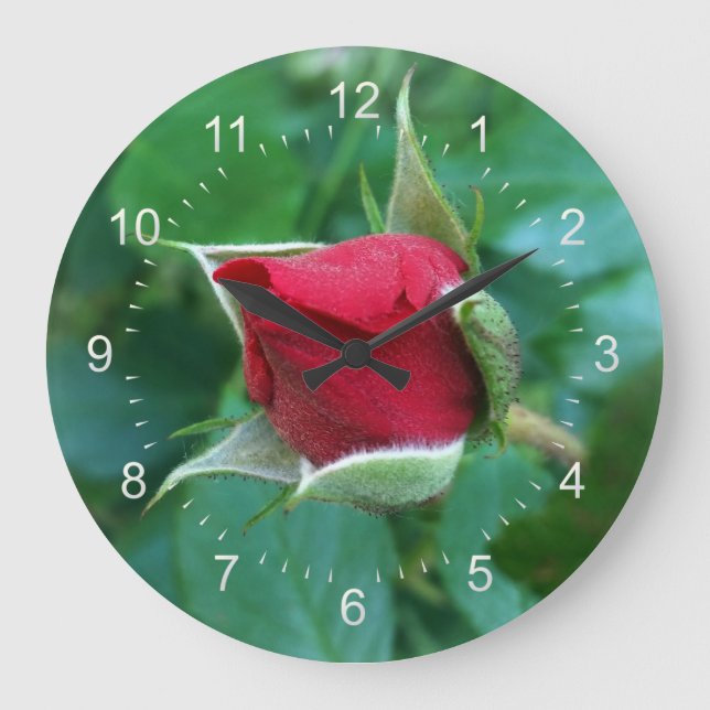 Grande Horloge Ronde rosebud rouge (Recto)