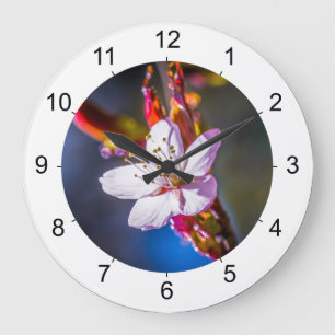 Grande Horloge Ronde Sakura - Fleur de cerise japonaise