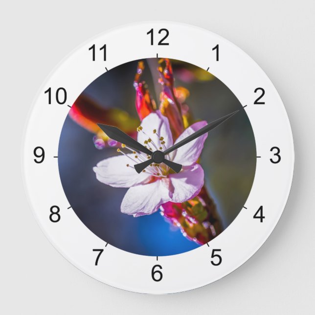 Grande Horloge Ronde Sakura - Fleur de cerise japonaise (Recto)