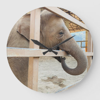 Grande Horloge Ronde Sanctuaire d'éléphants 