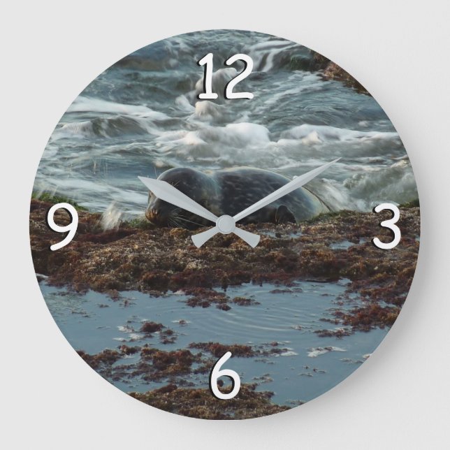 Grande Horloge Ronde Sceau de port Lit Sunset I à San Diego (Recto)