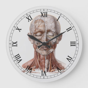 Grande Horloge Ronde Science de l'anatomie humaine vintage, tête gorge 
