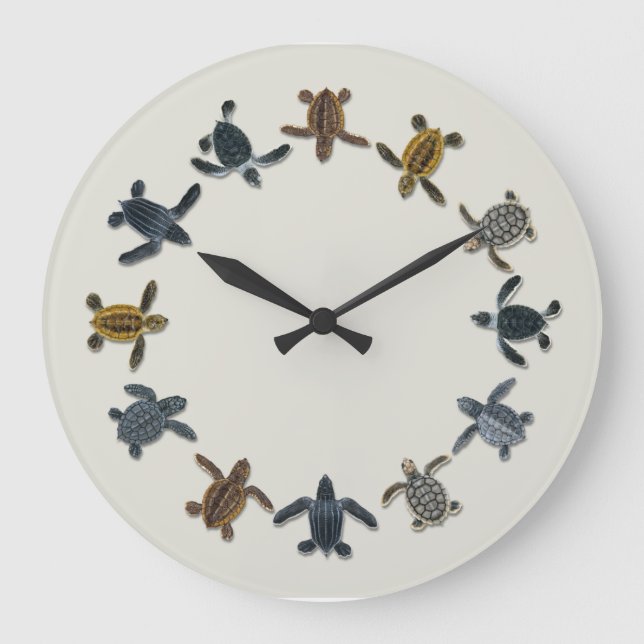 Grande Horloge Ronde Sea Turtle Hatchling (Recto)