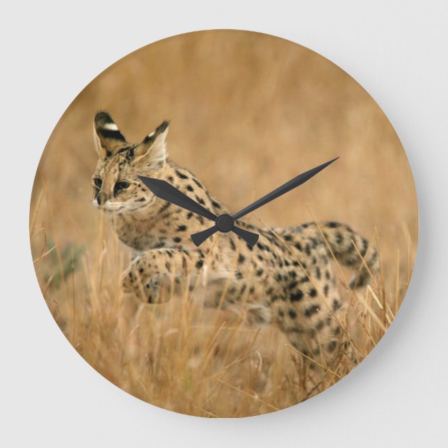 Grande Horloge Ronde Serval (Leptailurus Serval) Jumping (Recto)