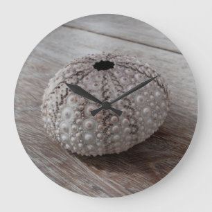 Grande Horloge Ronde Shell On Top Of A Wooden Table
