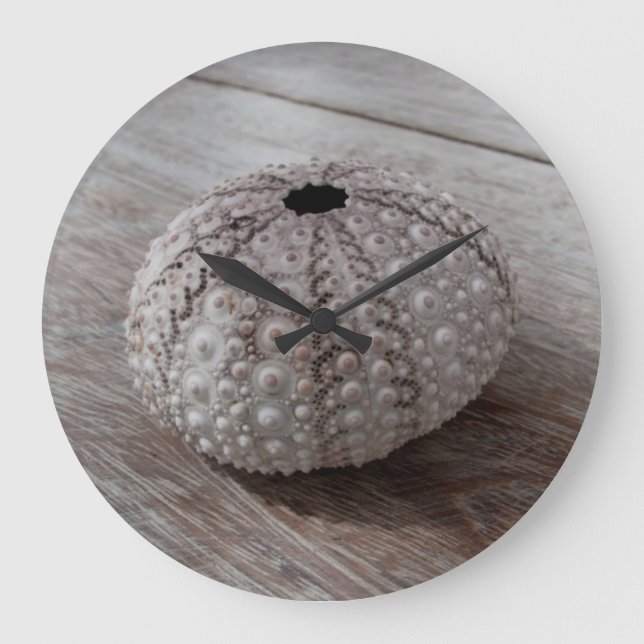 Grande Horloge Ronde Shell On Top Of A Wooden Table (Recto)