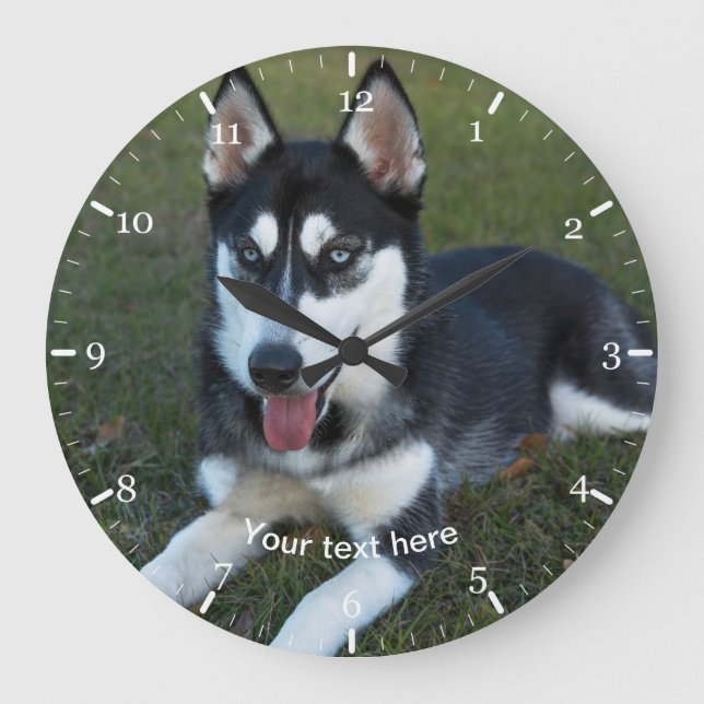 Grande Horloge Ronde Siberian Husky puppy (Recto)