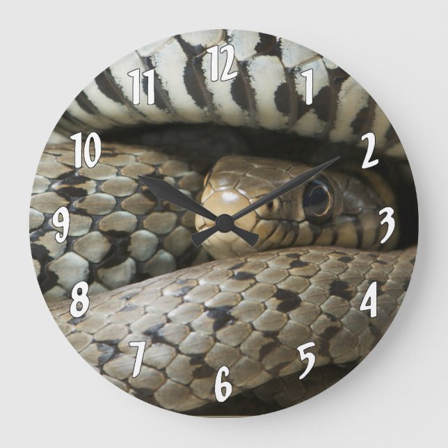 Grande Horloge Ronde Snake (Recto)