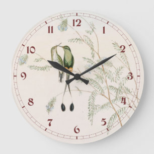 Grande Horloge Ronde Spathura Peruana Colibris par John Gould