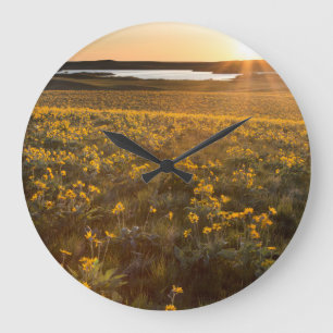 Grande Horloge Ronde Stand Des Fleurs sauvages D'Arrowleaf Balsamroot