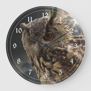 Grande Horloge Ronde Stunning Owl