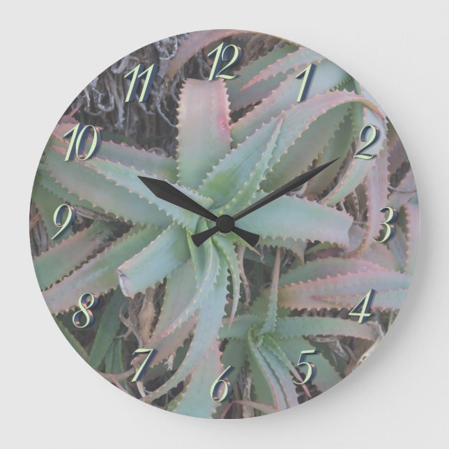 Grande Horloge Ronde Succulentes du Nevada (Recto)